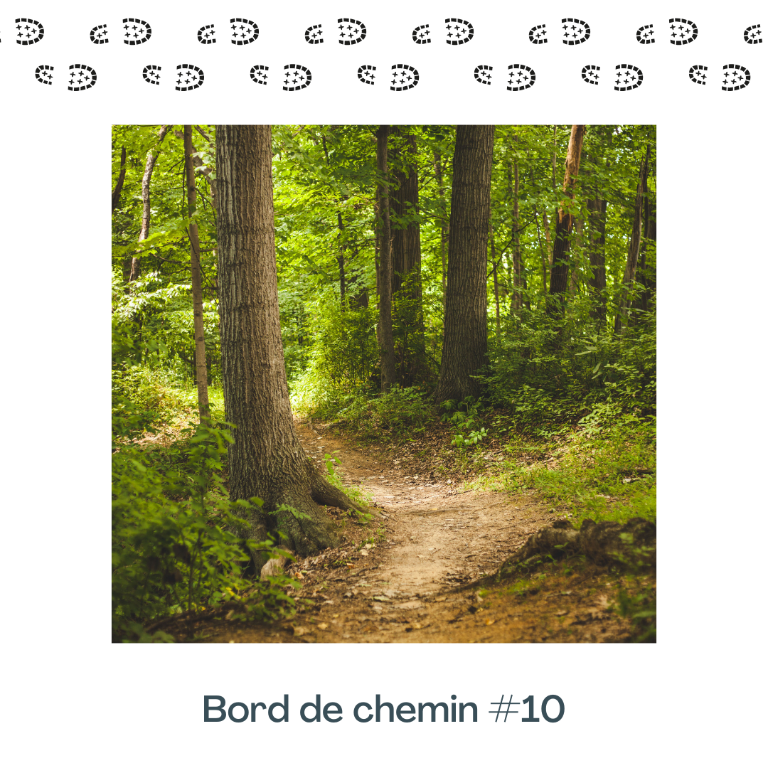 S2E3 : Bord de chemin #10