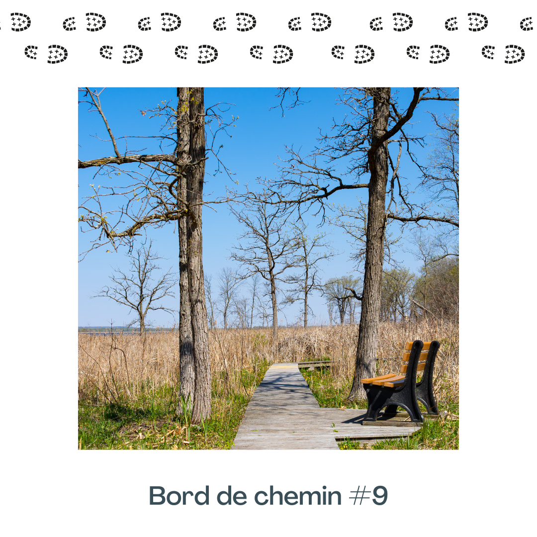 S2E1 : Bord de chemin #9