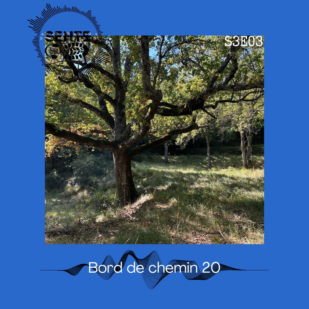 S3E3 : Quelle entrée pour le numérique en classe ?