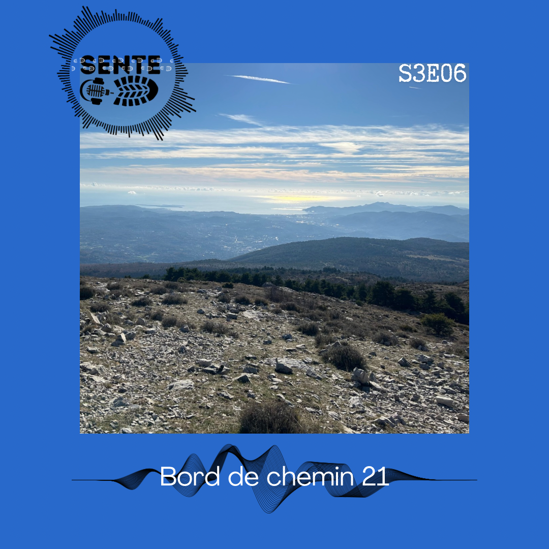 S3E6 : Grognons sur les poncifs