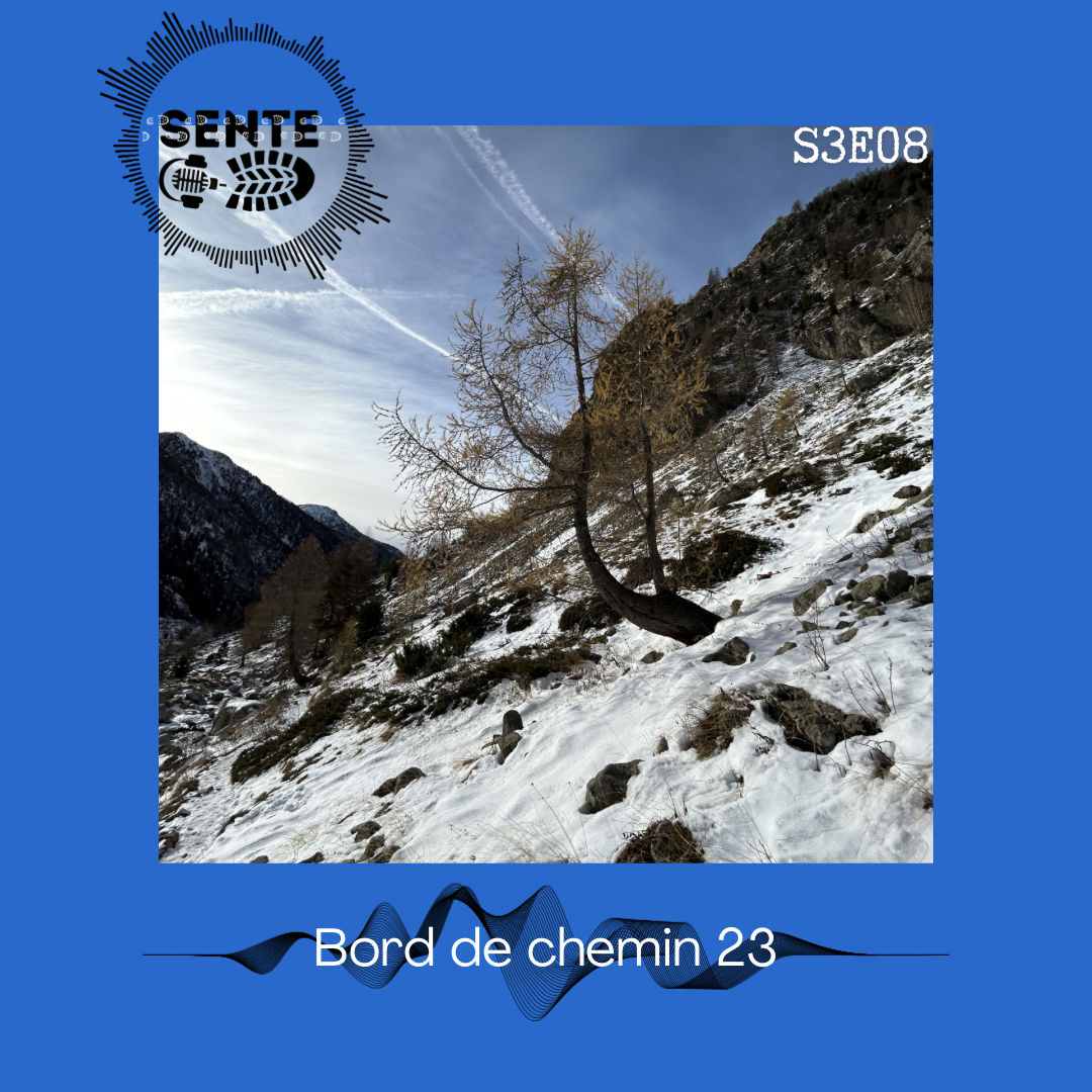 S3E8 : Nos outils hors numérique