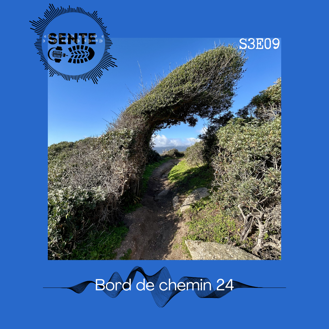 S3E9 : Dans nos smartphones